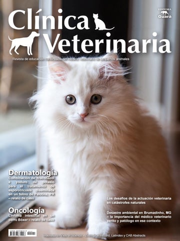 Clínica Veterinaria Sabino