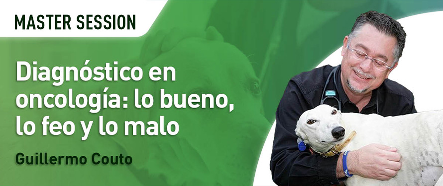 Clinica Veterinaria San Francisco De Asis