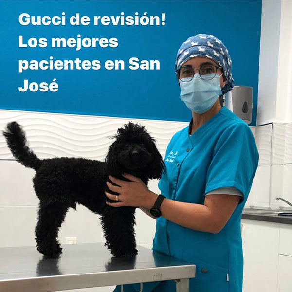 Clínica Veterinaría "san José"