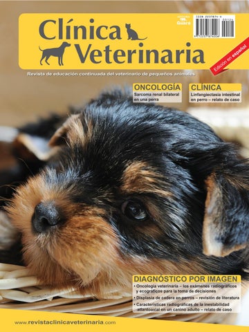 Clinica Veterinaria Terrier