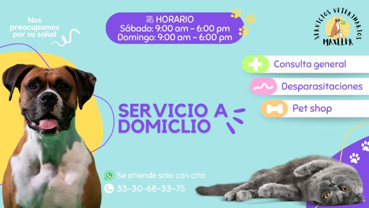 Clínica Veterinaria Tlaquepaque