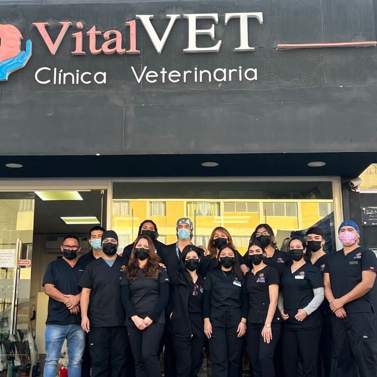 Clínica Veterinaria Vital Vet