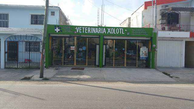 Clínica Veterinaria Xolotl