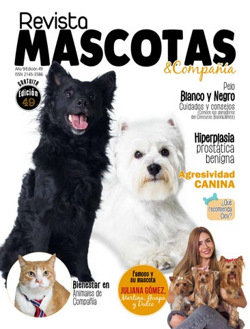 Clinica Veterinaria Y Estetica Canina. "spa Tu Mascota"