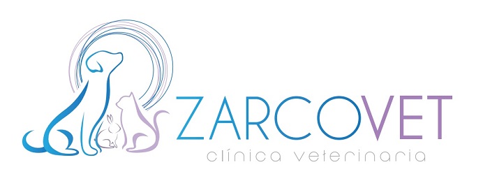 Clinica Veterinaria Zarco