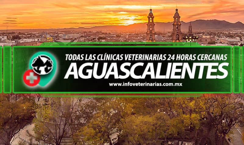 Clinikan Hospital Veterinario