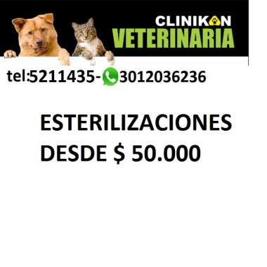 Clinikan Hospital Veterinario