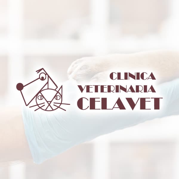 Clivet Atencion Veterinaria