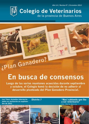 Consultorio Veterinario El Diezmo