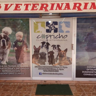 Consultorio Veterinario Mevetzoo