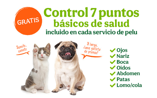 Consultorio Veterinario Perruqueria