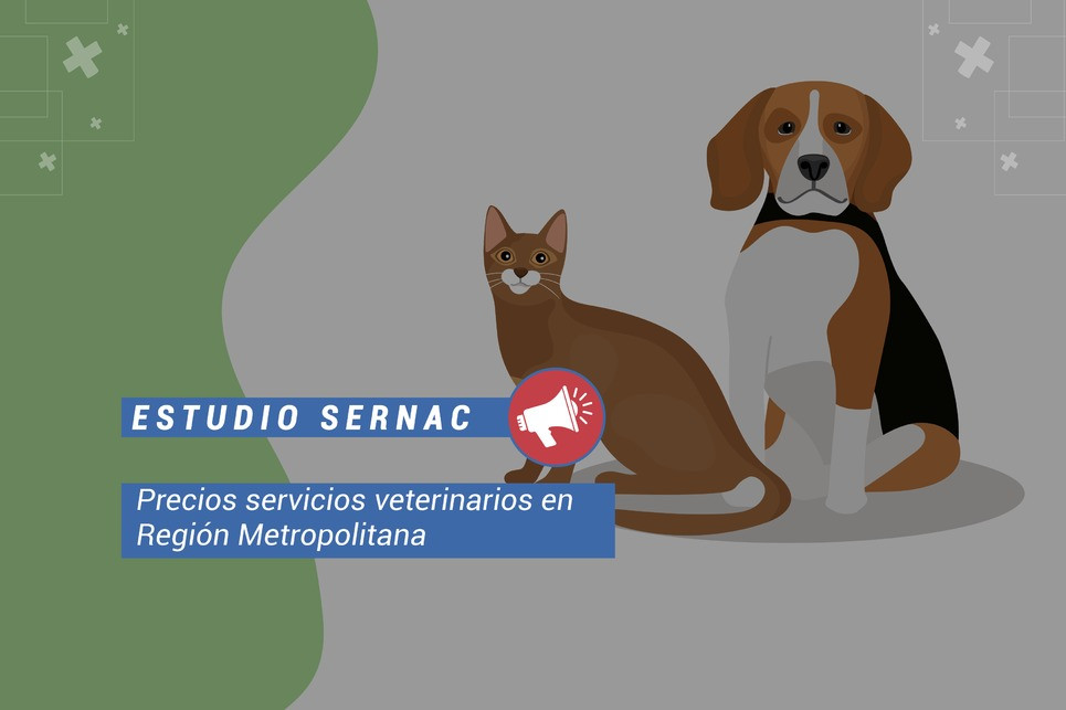 Consultorio Veterinario Sabueso