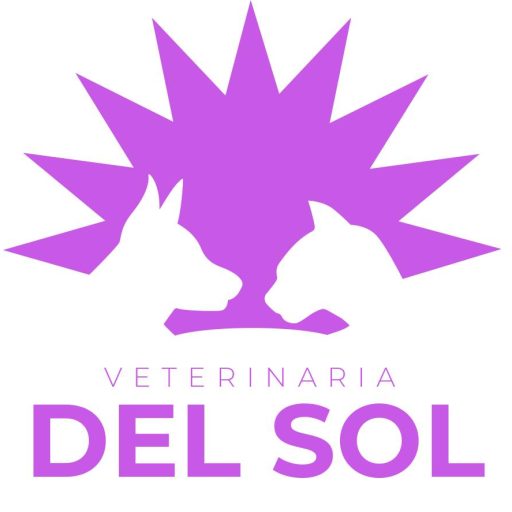 Del Sol Hospital Veterinario