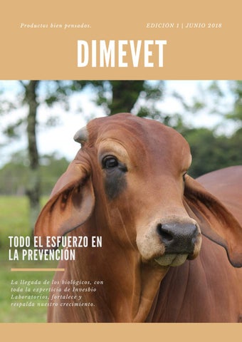 Dimevet Veterinarias