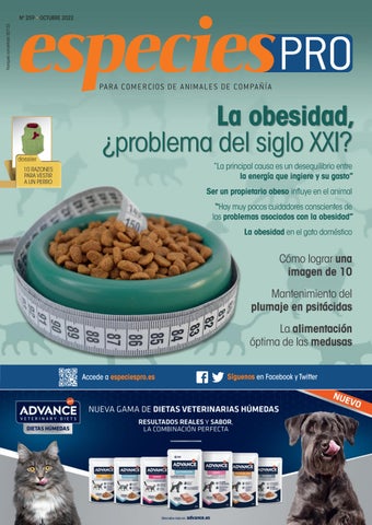 Dr. Gordillo Hospital Estética & Tienda De Mascotas