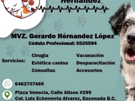 Ensenada Pets Clínica Veterinaria