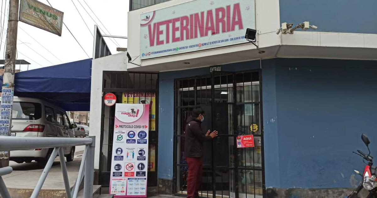 Fervets Veterinaria