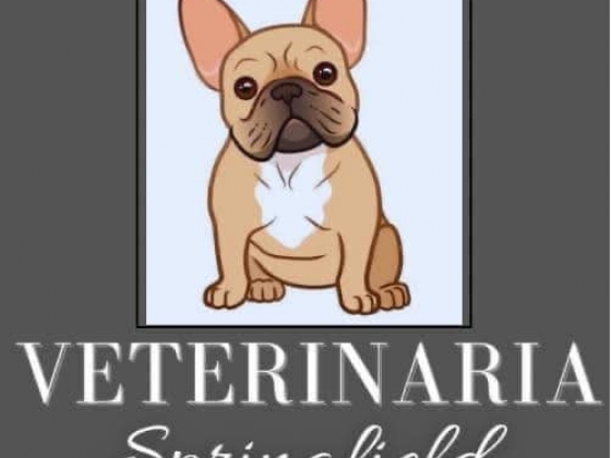 Frenchies Pets Sabinas