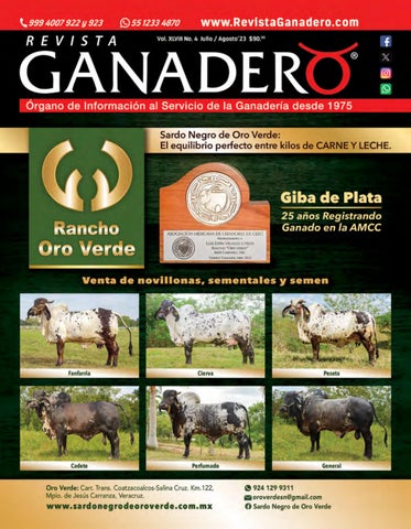 Granero Y Veterinaria El Grano De Oro S.a De C.v. (centro 2da)