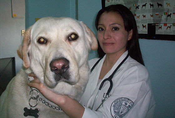 Hospital Veterinario Amaltea