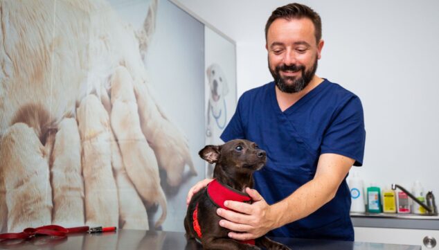 Hospital Veterinario Animal Clinic "tu Mascota En Buenas Manos"