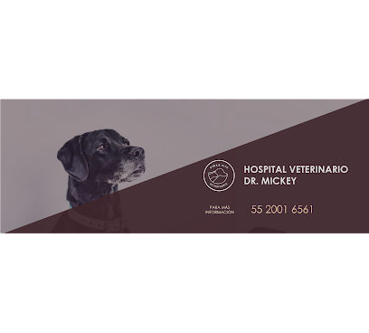 Hospital Veterinario Base Delfin I