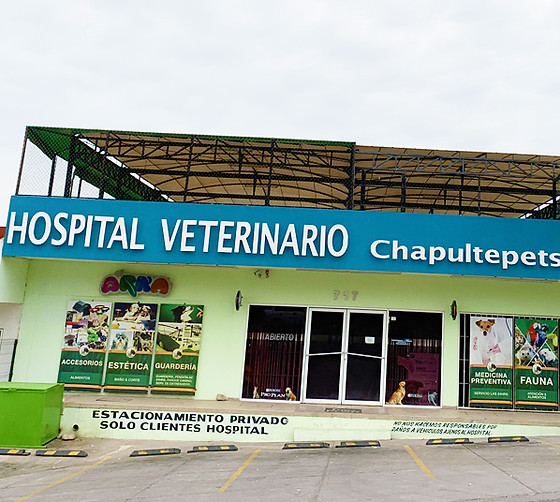 Hospital Veterinario Chapultepet