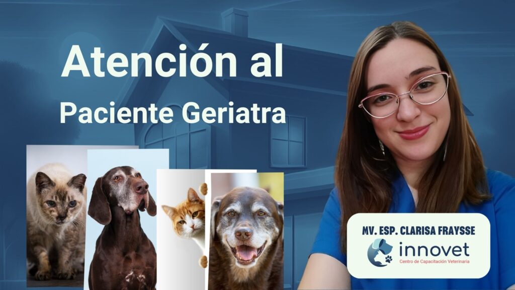 Hospital Veterinario De Puebla Unidad Recta 24/7