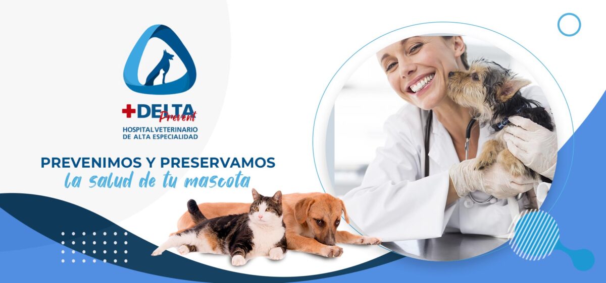 Hospital Veterinario Delta