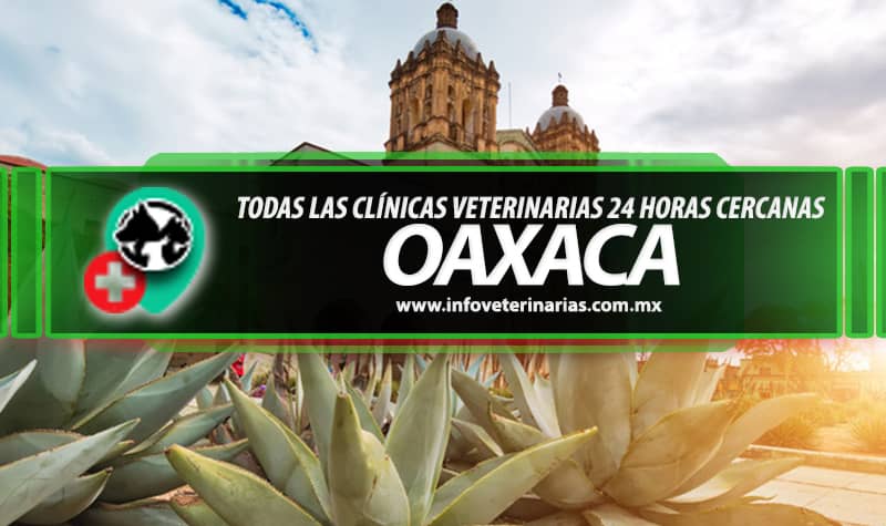 Hospital Veterinario Juchitán