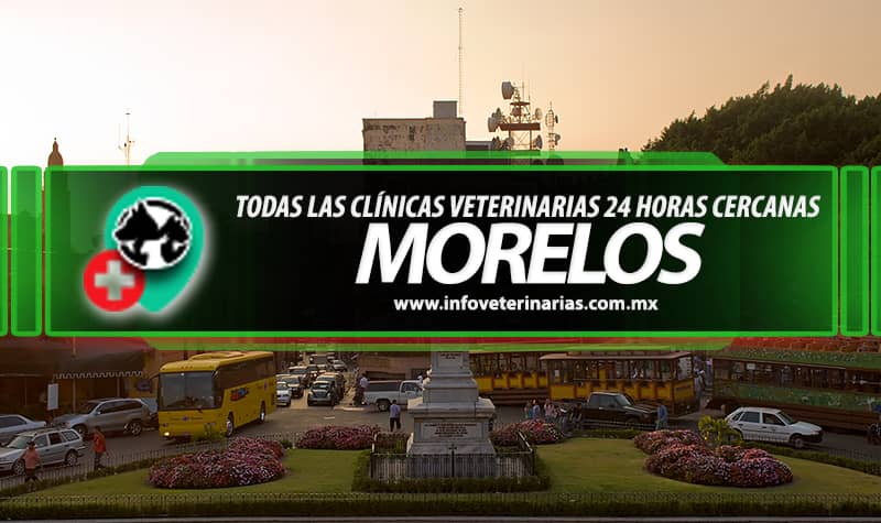 Hospital Veterinario Morelos