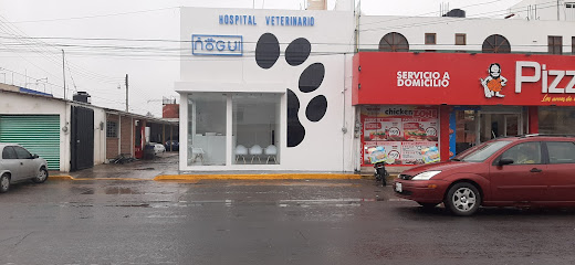 Hospital Veterinario ñogui