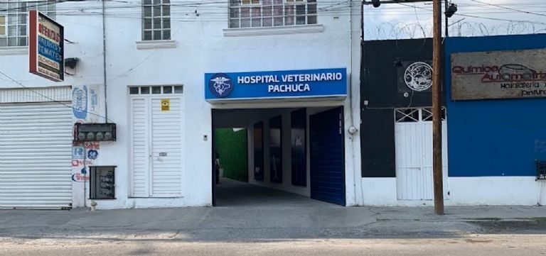 Hospital Veterinario Pachuca