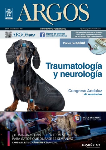 Hospital Veterinario Palmares Dr. Rojas