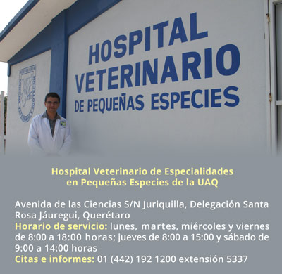 Hospital Veterinario Querétaro