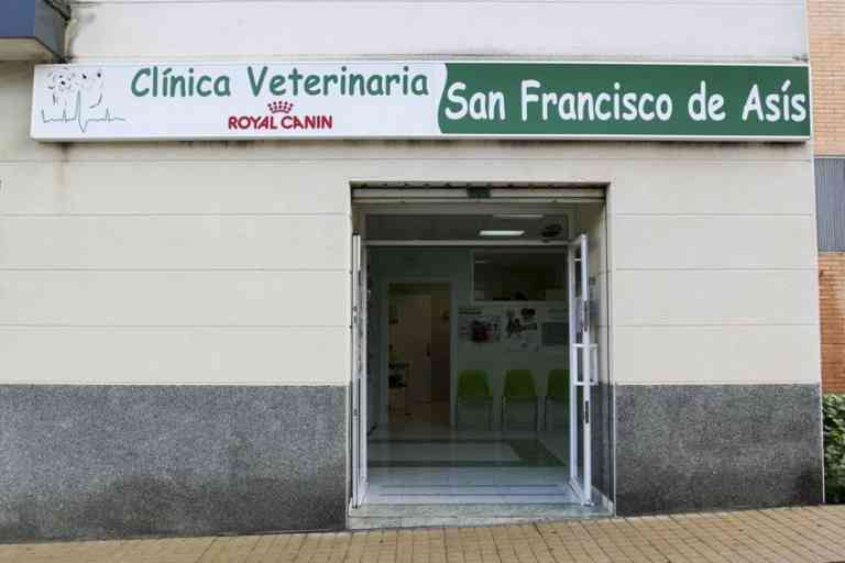 Hospital Veterinario San Francisco De Asis