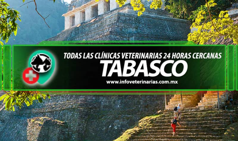 Hospital Veterinario Tabasco