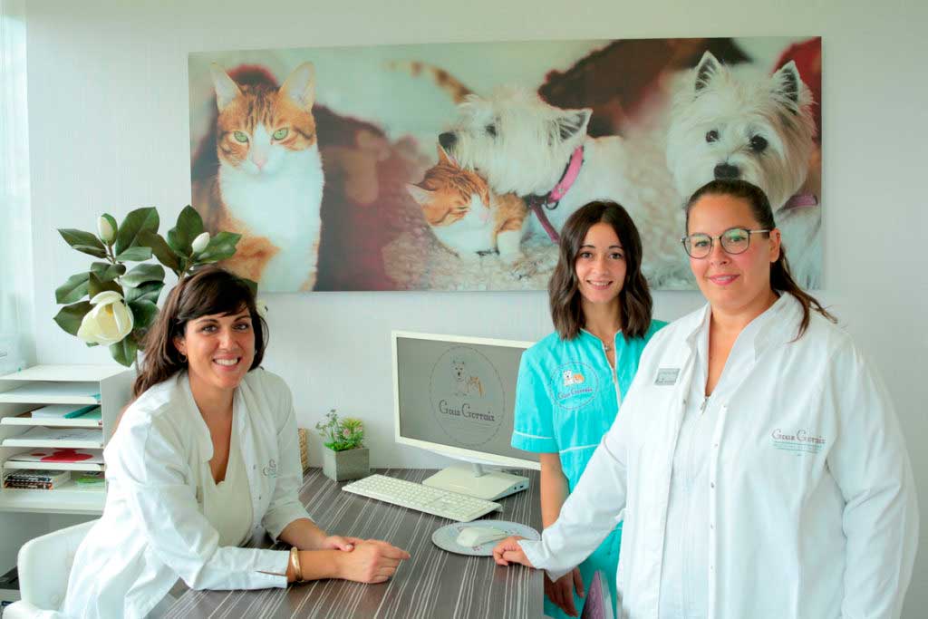 Hospital Veterinario Tierarzt