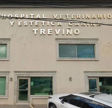 Hospital Veterinario Y Estética Canina Treviño