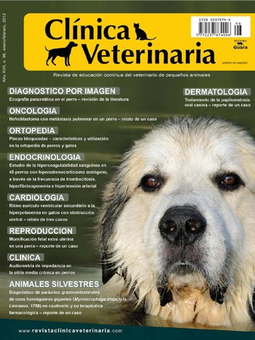 Los ángeles Clínica Veterinaria