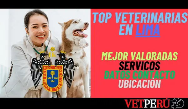 Lymavet Servicios Veterinarios