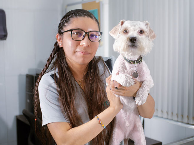 Maximus Clínica Veterinaria Y Tienda De Mascotas