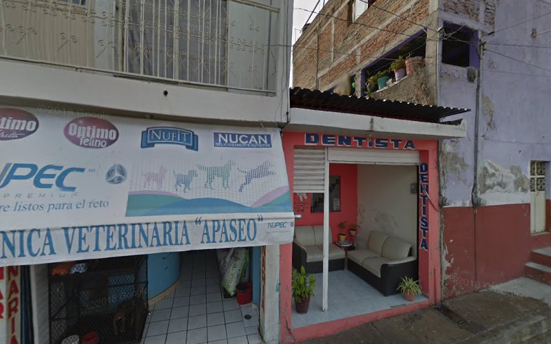 Veterinarias En Apaseo El Alto