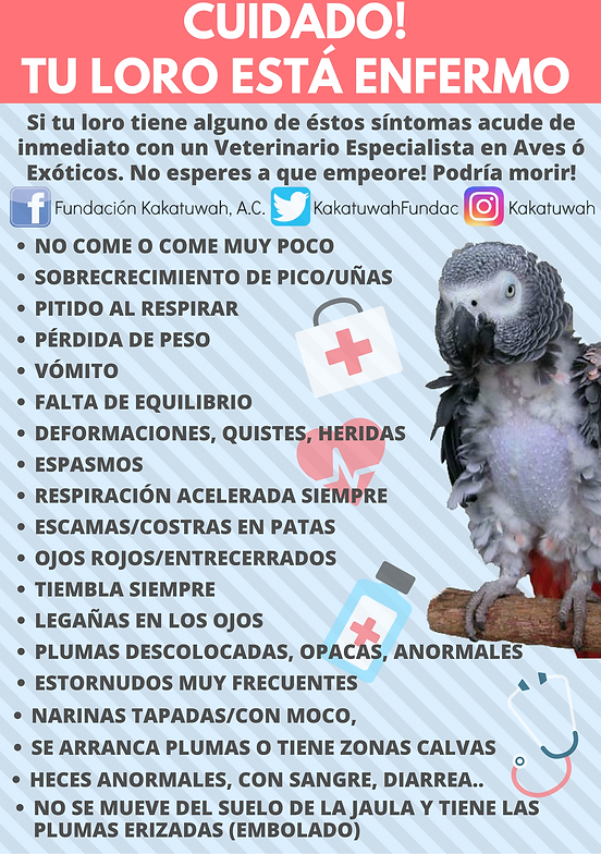 Veterinarias En Arboledas De San Roque