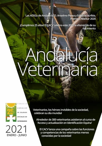 Veterinarias En Arriaga