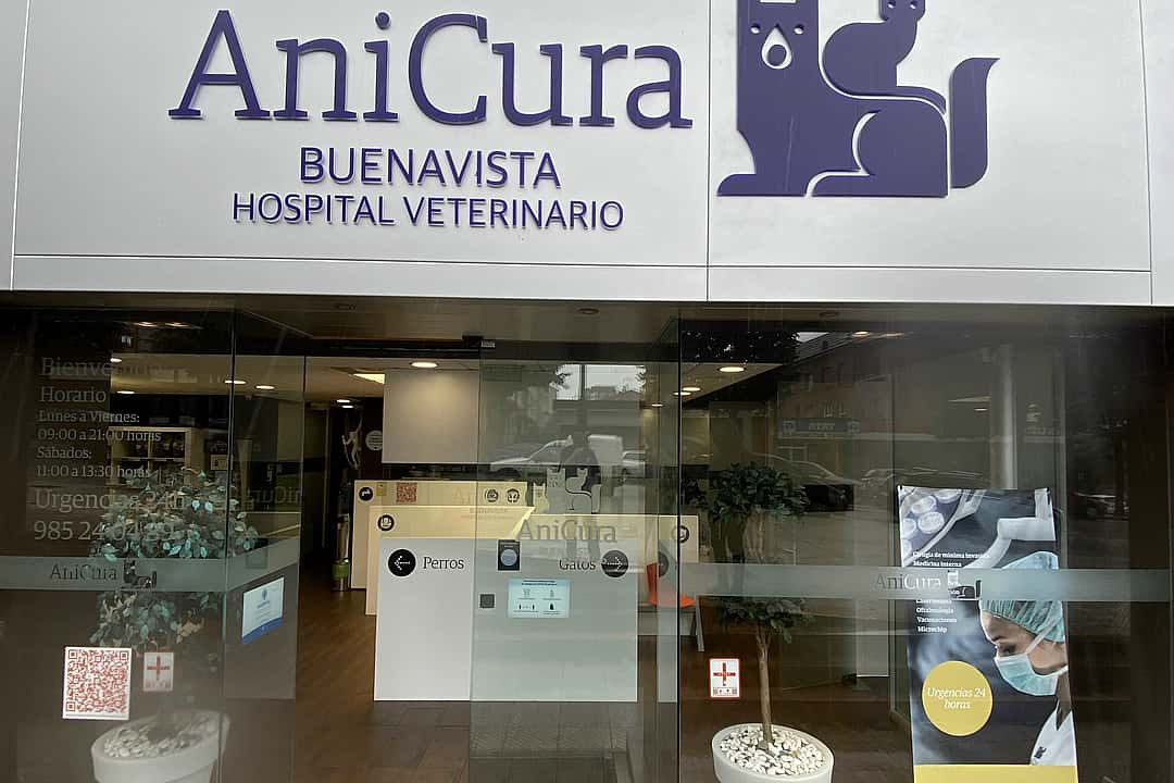 Veterinarias En Buenavista