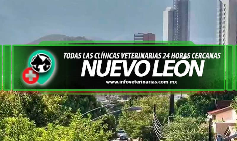 Veterinarias En Cadereyta Jiménez