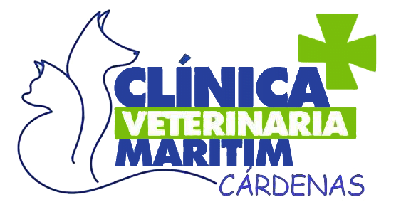 Veterinarias En Cárdenas