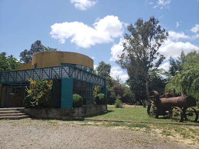 Veterinarias En Castaños