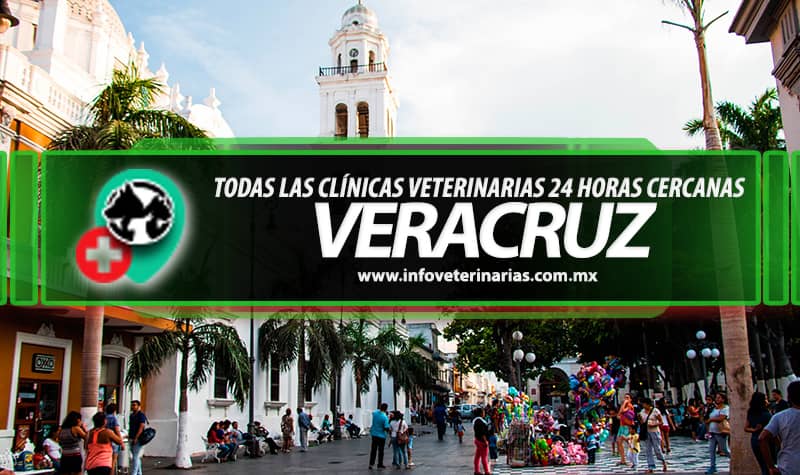 Veterinarias En Catemaco